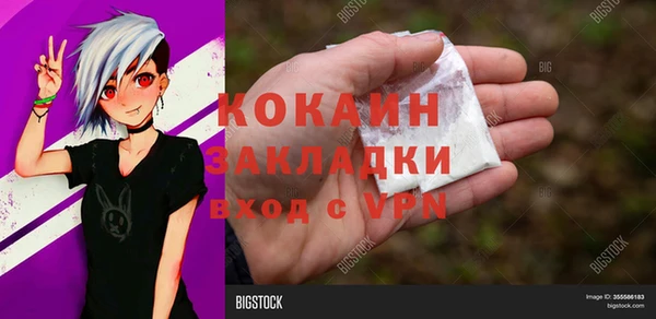 ГАЛЛЮЦИНОГЕННЫЕ ГРИБЫ Аркадак