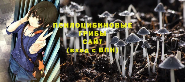прущая мука Арсеньев