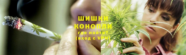 прущая мука Арсеньев