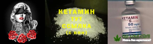 ГАЛЛЮЦИНОГЕННЫЕ ГРИБЫ Аркадак