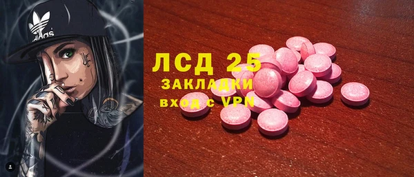 ГАЛЛЮЦИНОГЕННЫЕ ГРИБЫ Аркадак